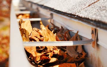 Lye gutter cleaning companies
